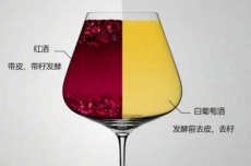 上海年會用法國紅酒法國貝瑪格雷-58系列葡萄酒代理