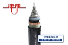 宜川津成电缆电线生产公司
