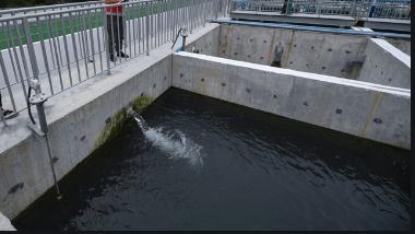 工业污水水质检测 成都废水废气检测中心