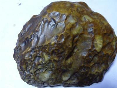 寧波高價私下收購羊黃羊黃