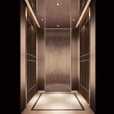 北京西子電梯電梯裝潢家用電梯等