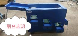 自動調(diào)速上果的藍(lán)莓滾筒分選篩選機(jī)