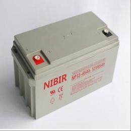 蓝瑞蓄电池NP150-12/12V150AH服务器应急