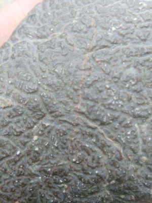 湖州黑色石陨石的作用