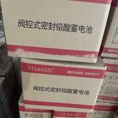 深圳STSAEGIS蓄电池有限公司