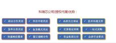 低功耗的MIPI - LVDS轉換器-IT6122-原裝