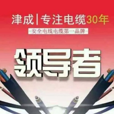 汉阴津成耐火型特种电缆代理