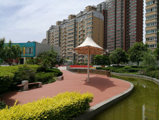 重慶公園塑木地板結實嗎