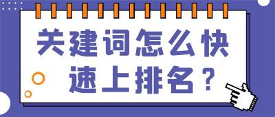 网站建设推广一站式服务