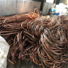松江专业电缆线回收废铜回收价格免费看货估