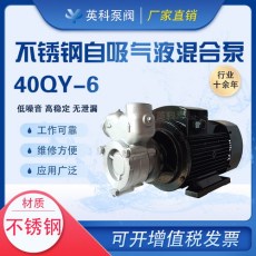 40QY-6气液混合泵不锈钢材质