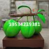 贵州农场基地玻璃钢青李子水果雕塑报价厂家
