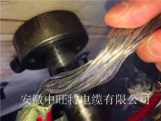 DJFEPPVRP計(jì)算機(jī)電纜