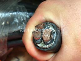 DJF46PDJFFP耐高溫防腐計算機(jī)電纜