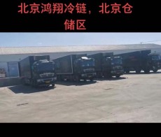 北京到济宁冷冻货物运输公司