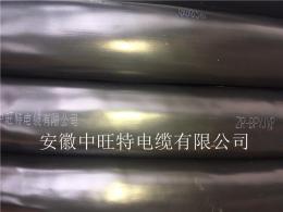 ZR-DJYJPVRP2-22*2*1.0阻燃計(jì)算機(jī)電纜
