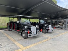 咸宁四轮电动观光老爷车报价