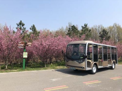山东绿之源电动游览观光车报价