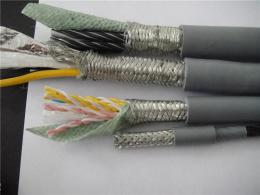BCF46F46RP-2*1.0高溫補償導(dǎo)線國標(biāo)品質(zhì)