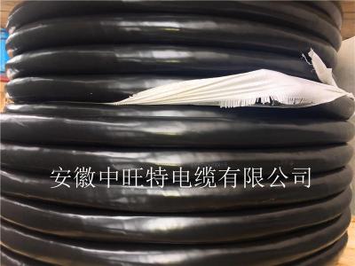 KX-HB-FFRP-6*2*1.0高温补偿电缆