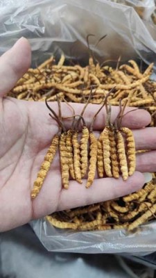 楚雄回收红酒拉菲商家