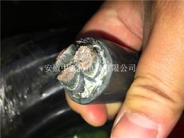 DWZ-KVVP低烟无卤阻燃控制电缆价格