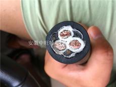 BC-G-VV熱電偶用補(bǔ)償導(dǎo)線/電纜