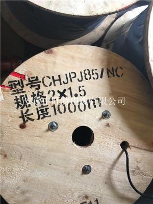 DJF4PGP硅橡胶计算机电缆