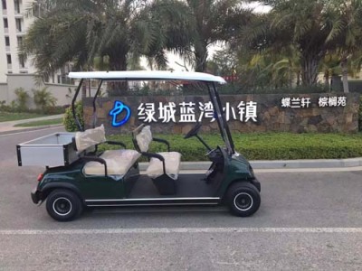 徐州公园电动高尔夫观光车多少钱一辆
