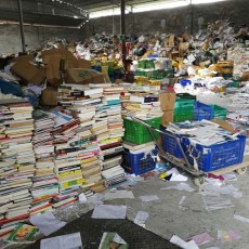 广州废纸回收厂家电话