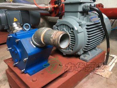 力华泵业高粘度食品输送泵LH80-65-0.5