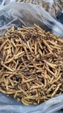 丽江回收茅台酒门店电话