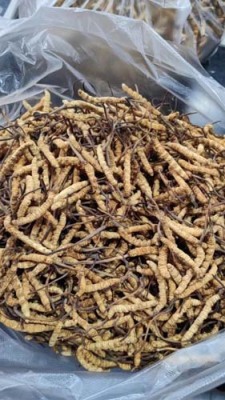 丽江回收茅台酒门店电话