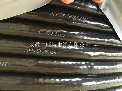 ZR-DJYP3VP2計(jì)算機(jī)電纜ZR-DJYP3V