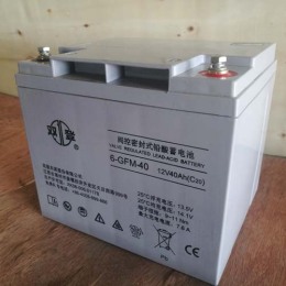 徽州双登蓄电池12V100AH原装进口