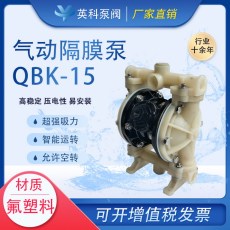氟塑料气动隔膜泵