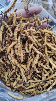 昆明西山区回收补品海参门店地址