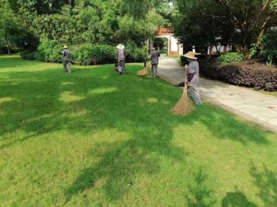 通安绿植出租租赁价格哪家实惠