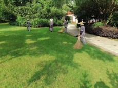 同里室内绿植出租价格哪家实惠