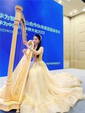 深圳竖琴表演 美女竖琴演出 一站式演出提供