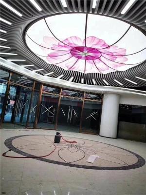 重庆泳池星空顶鑫享莱软膜-材料规格齐全