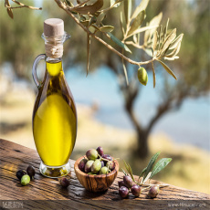 天津橄榄油进口清关-橄榄油进口清关