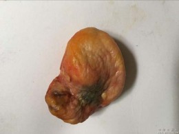 宿州鹅宝的作用