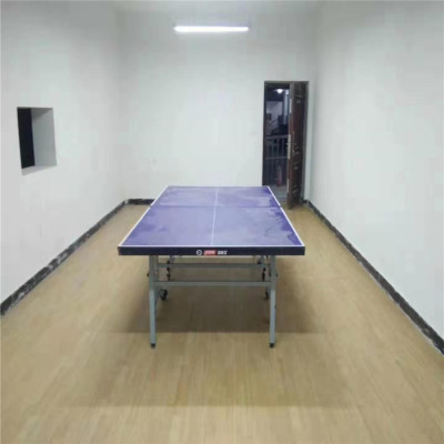 pvc乒乓球地板 奥丽奇塑胶批发工厂