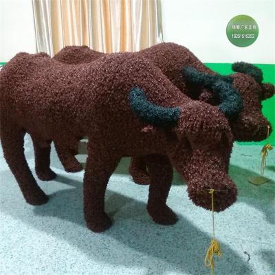 息县绿雕龙订购价格