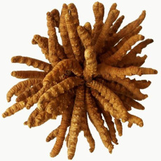 萬(wàn)山特區(qū)禮品回收高檔禮品回收一覽表