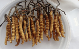 納雍縣茅臺(tái)五十年八十年年份酒回收市場(chǎng)行情