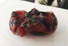 麗江長期收購羊寶中心