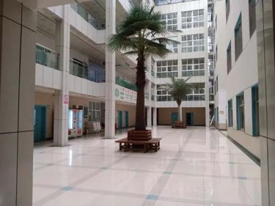 上海华山医院吴雪海代挂号电话是不容忽视的