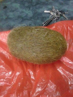 株洲正规的牛宝的功效